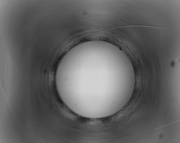 X0000102230278200807250817