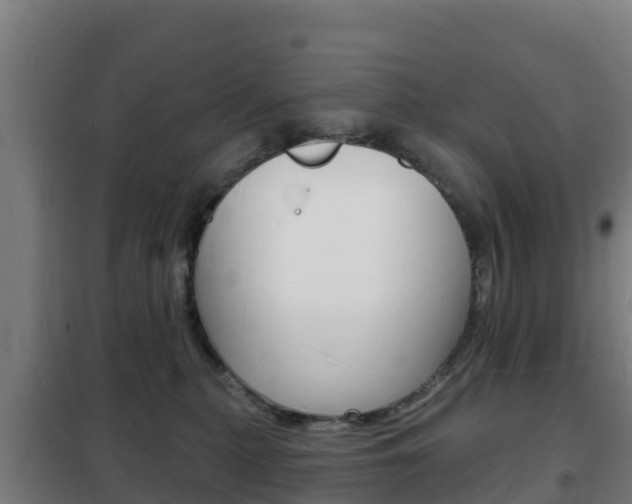 X0000102230279200807250817