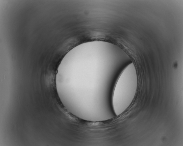 X0000102230281200807250817