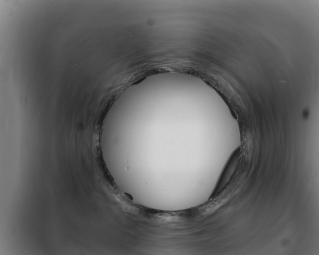 X0000102230284200807250817