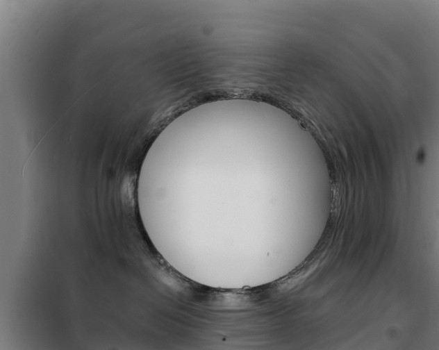 X0000102230286200807250817