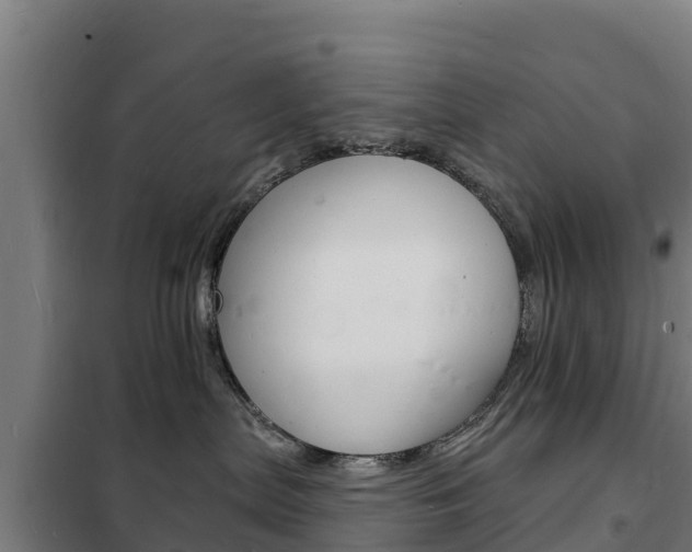 X0000102230287200807250817
