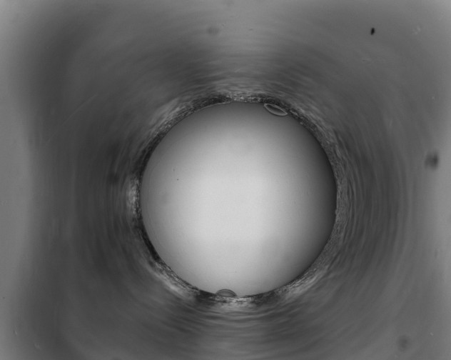 X0000102230288200807250817