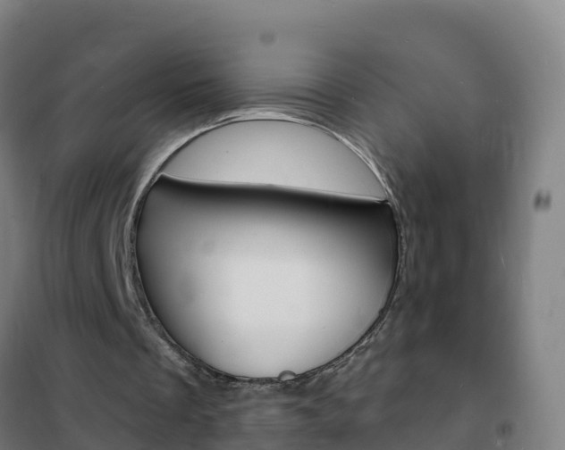 X0000102230289200807250816