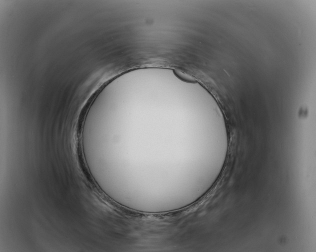 X0000102230290200807250816
