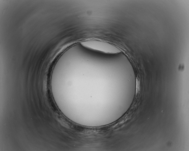 X0000102230291200807250816