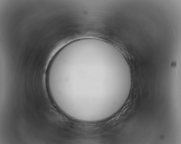X0000102230292200807250816