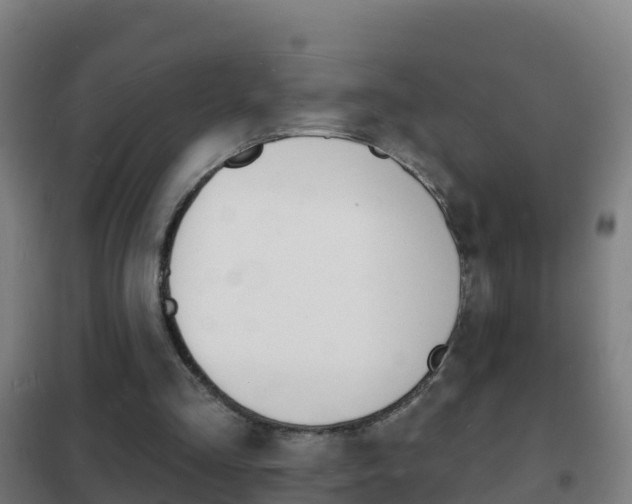X0000102230293200807250816