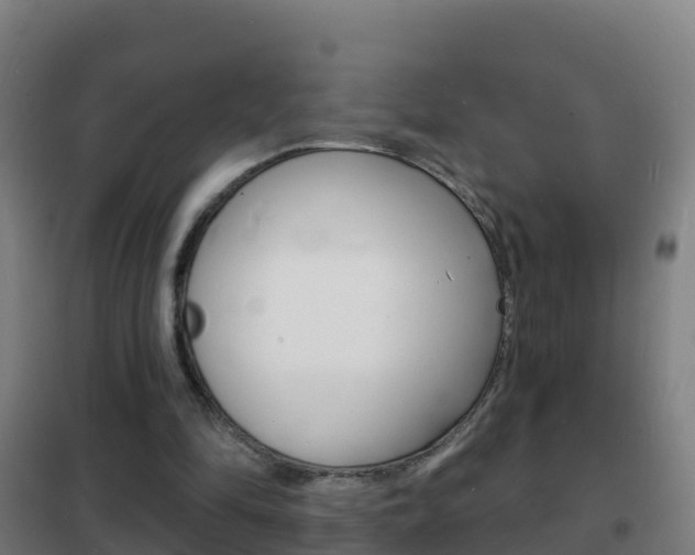 X0000102230294200807250816