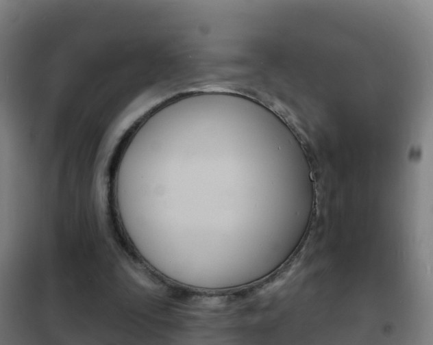 X0000102230295200807250816