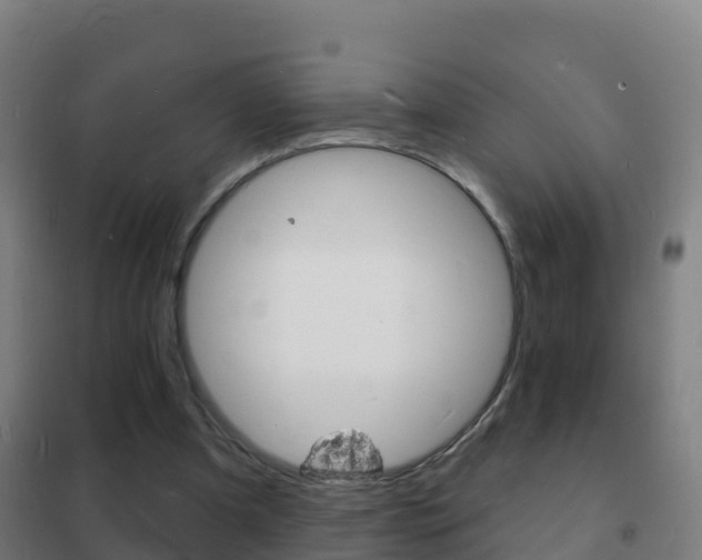 X0000102230297200807250816