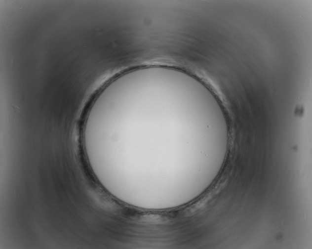 X0000102230298200807250816