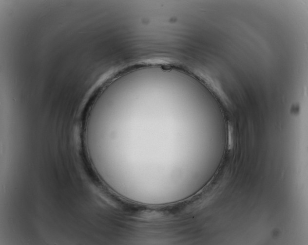 X0000102230300200807250816