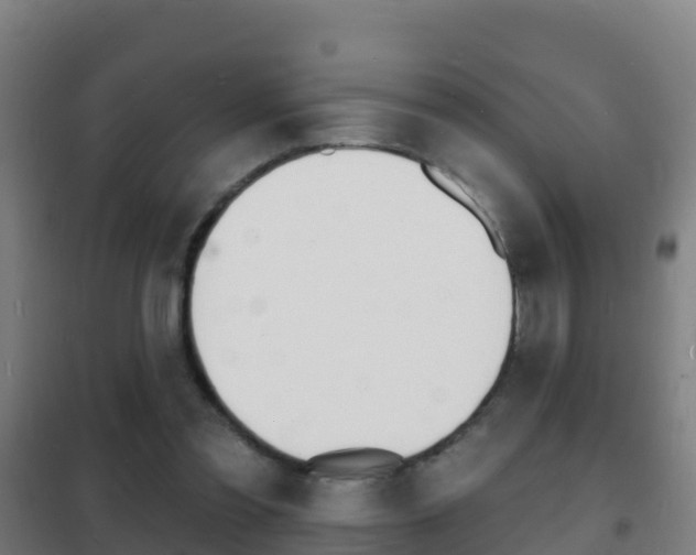 X0000102230301200807250816