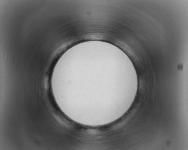 X0000102230302200807250816