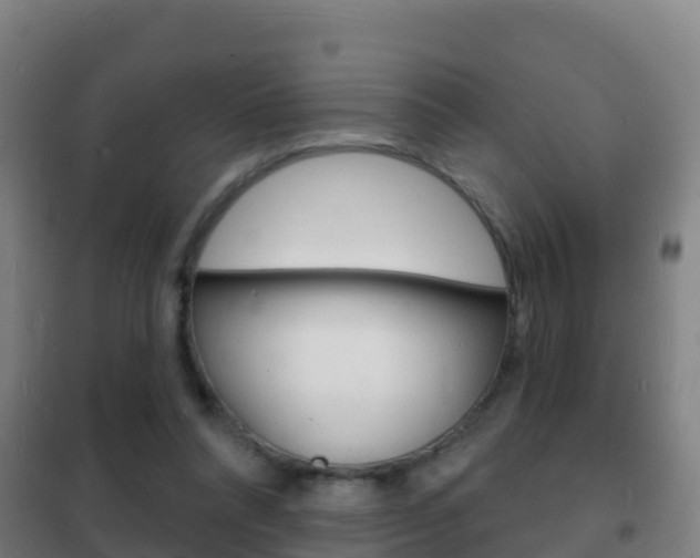 X0000102230304200807250816