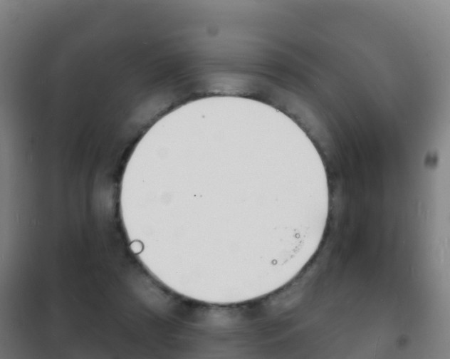 X0000102230305200807250816