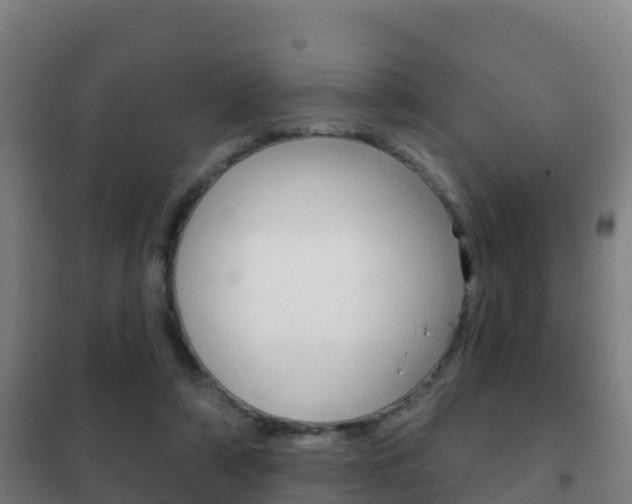 X0000102230306200807250816