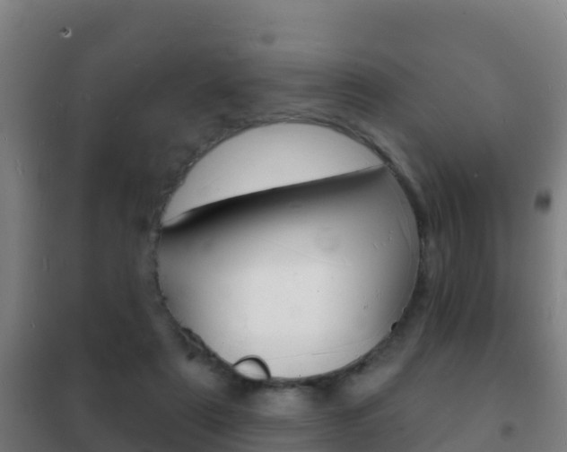 X0000102230307200807250816
