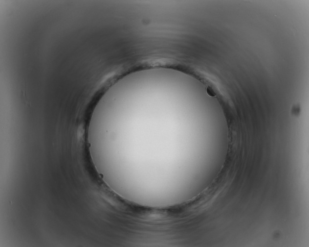 X0000102230308200807250816