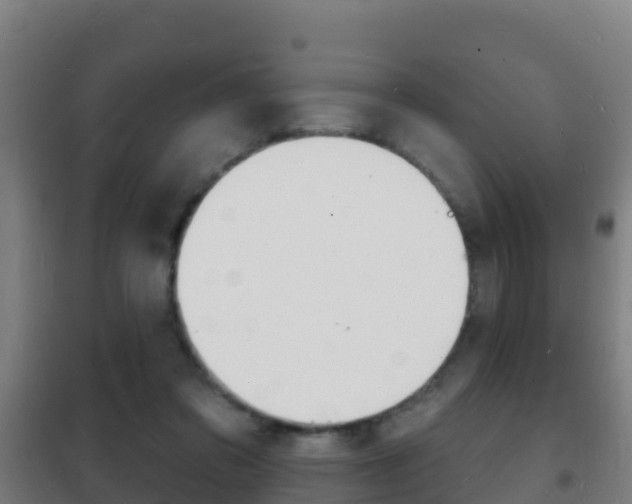 X0000102230309200807250816