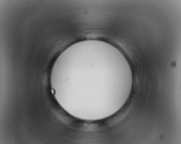 X0000102230311200807250816