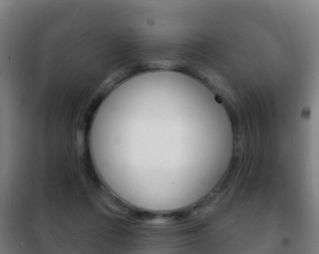 X0000102230312200807250816