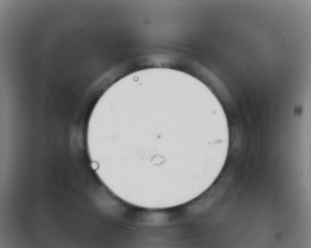 X0000102230313200807250816