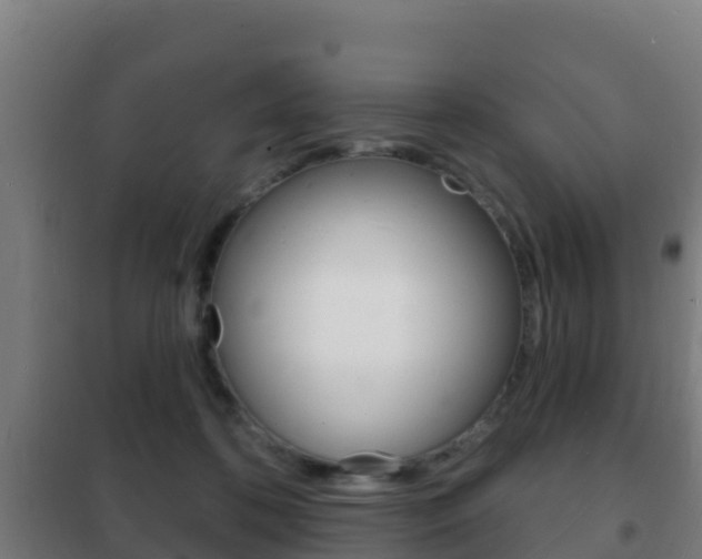 X0000102230316200807250816