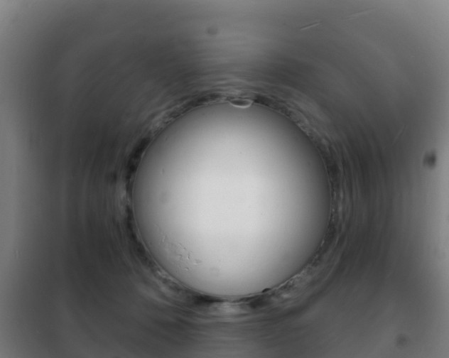 X0000102230320200807250815