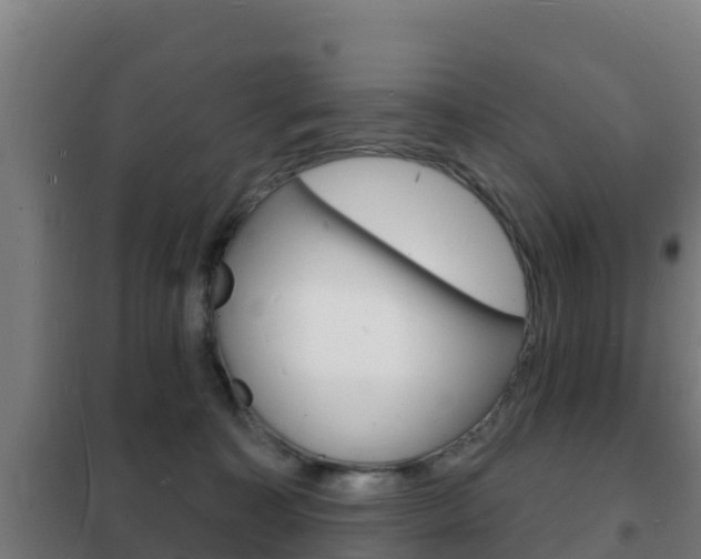X0000102230323200807250815