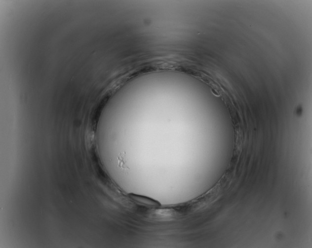 X0000102230324200807250815