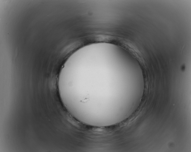 X0000102230325200807250815