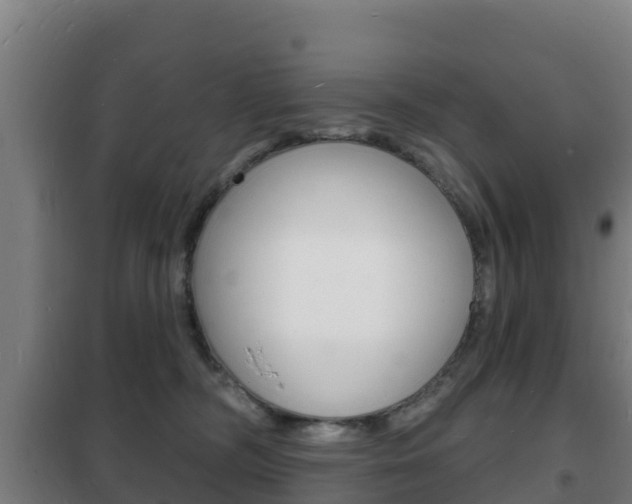 X0000102230326200807250815