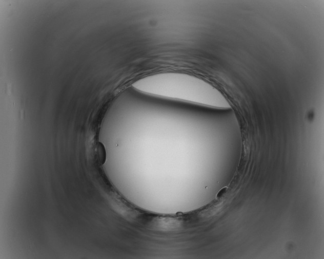 X0000102230327200807250815