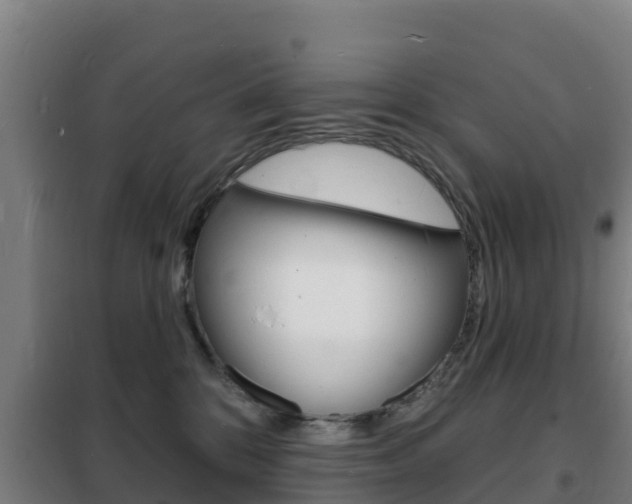 X0000102230328200807250815
