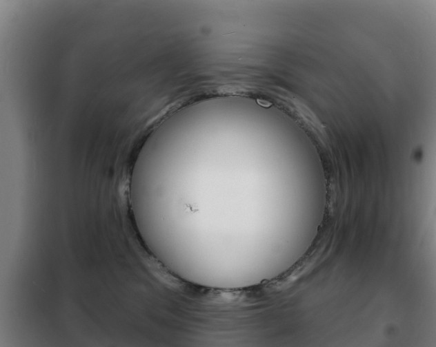 X0000102230329200807250815