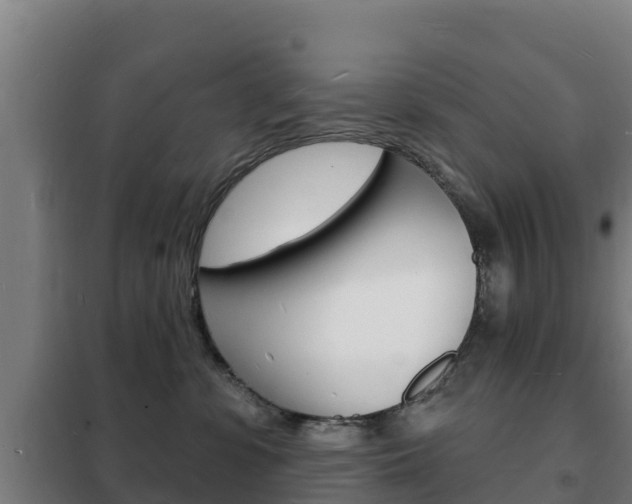 X0000102230331200807250815