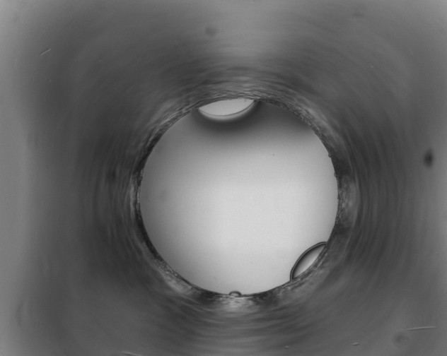 X0000102230333200807250815