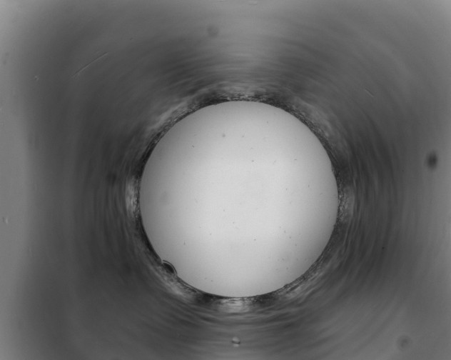X0000102230335200807250815