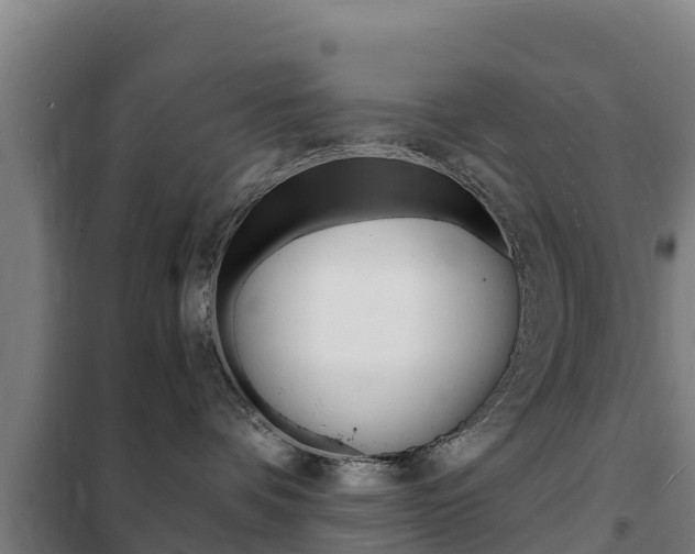 X0000102230336200807250815