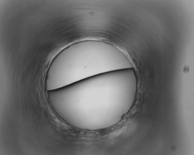 X0000102230337200807250814