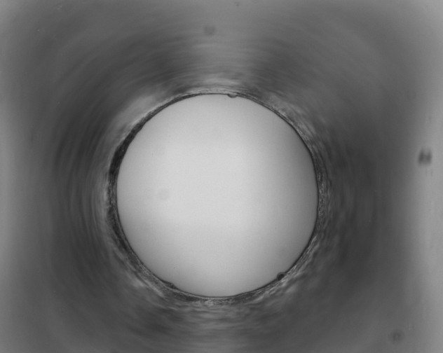X0000102230338200807250814