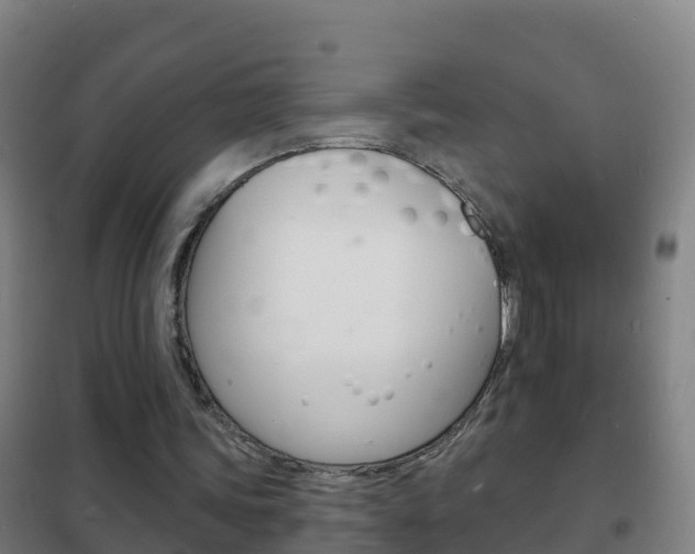 X0000102230339200807250814