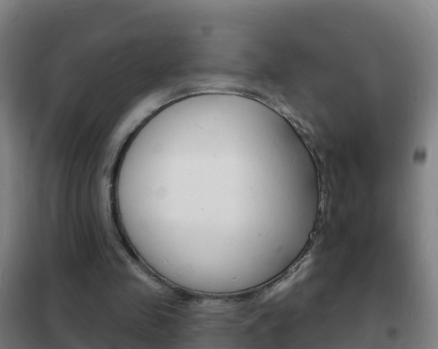 X0000102230341200807250814