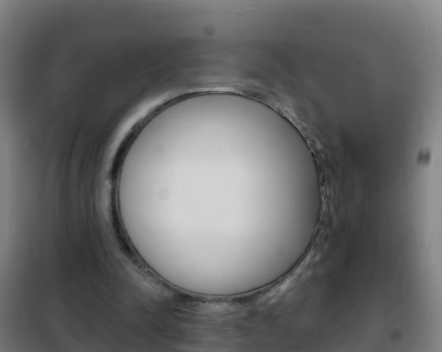 X0000102230342200807250814