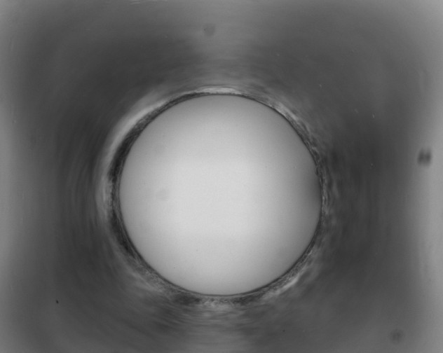 X0000102230343200807250814