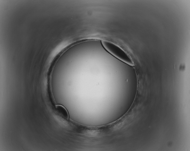 X0000102230344200807250814