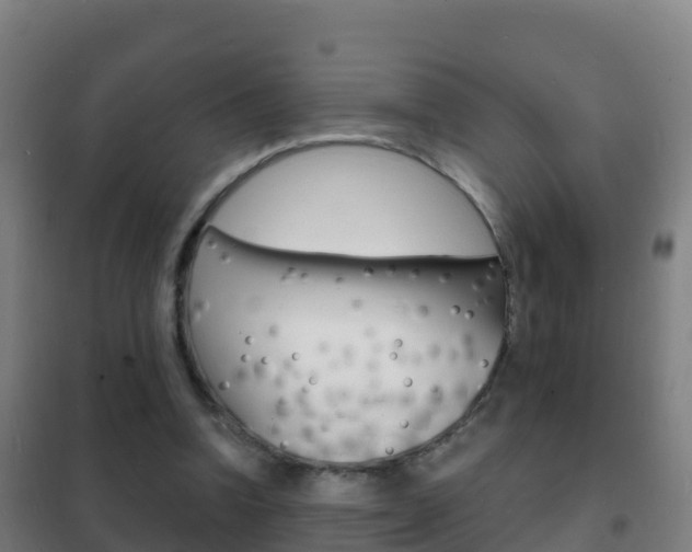 X0000102230346200807250814