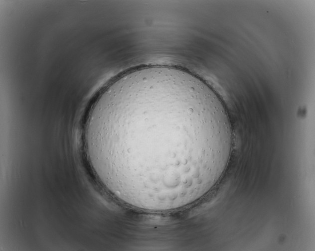 X0000102230347200807250814